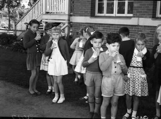 Back in 1951: The Milk for School Children program rolled out across Australia, except for Western Australia and Queensland due to climate concerns
