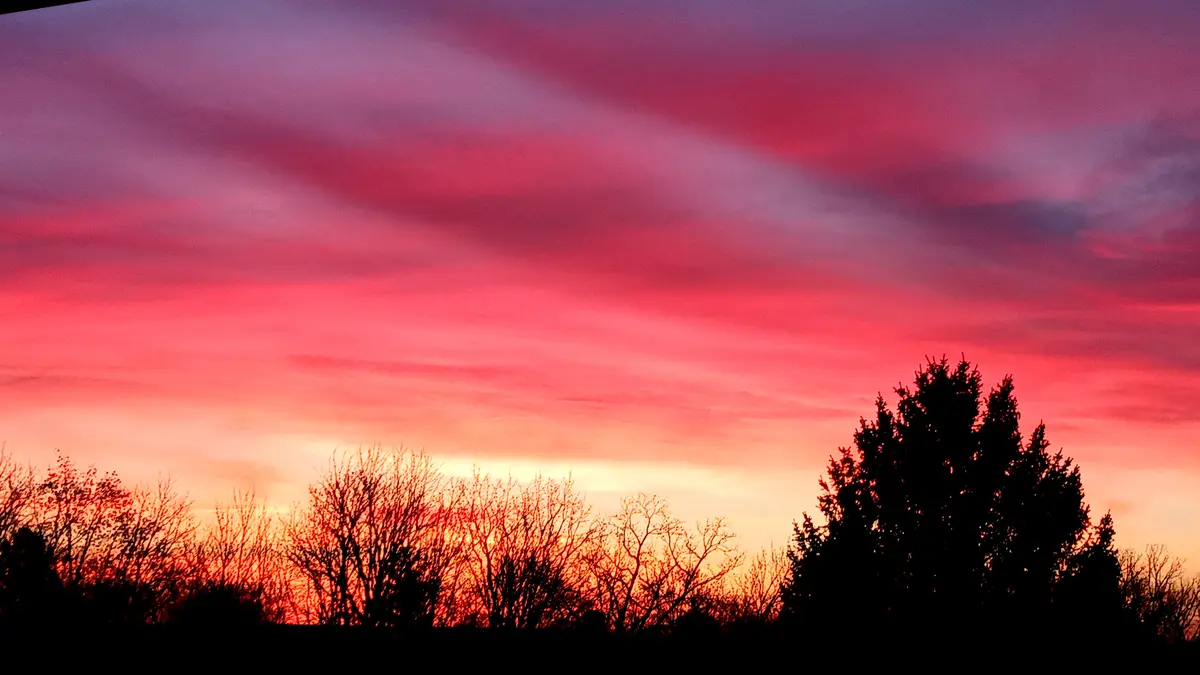 A vibrant sunset with streaks of pink, purple, and orange clouds above silhouetted trees and bare branches. The overlaid…