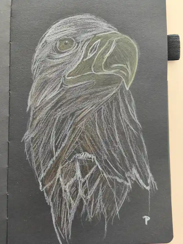 A detailed chalk drawing of an eagle's head on dark grey notebook paper, showing textured feathers, a sharp beak, and a…
