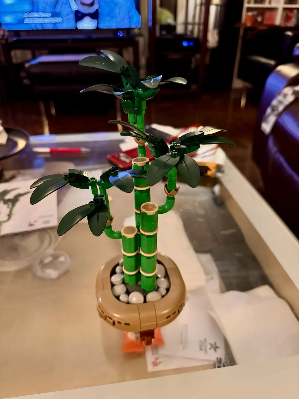 A completed LEGO bamboo plant model sits on a glass coffee table in a living room, surrounded by scattered LEGO pieces…