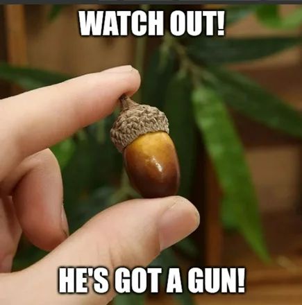 A close-up photo shows a person's fingers holding a small acorn. The acorn is positioned as if it were a weapon. White…