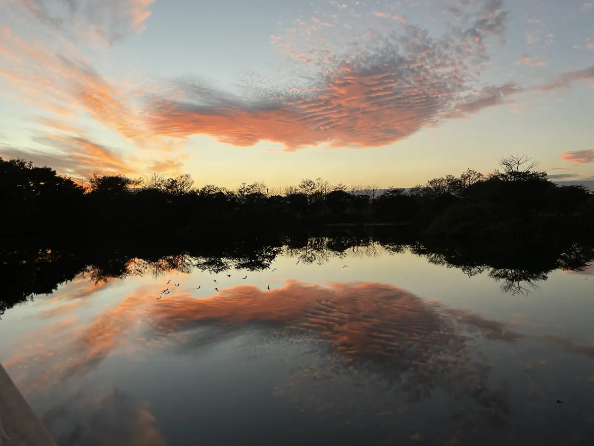 A serene sunset over a calm lake, with vibrant orange and pink clouds reflected in the water, silhouetted trees along the…