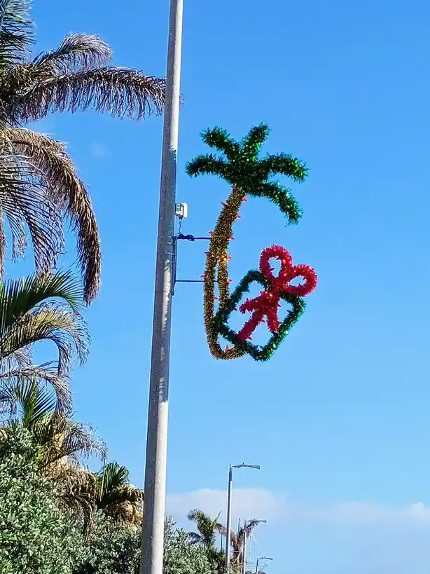 A festive, tinsel-covered palm tree decoration is mounted on a utility pole against a clear blue sky, with a red and green…