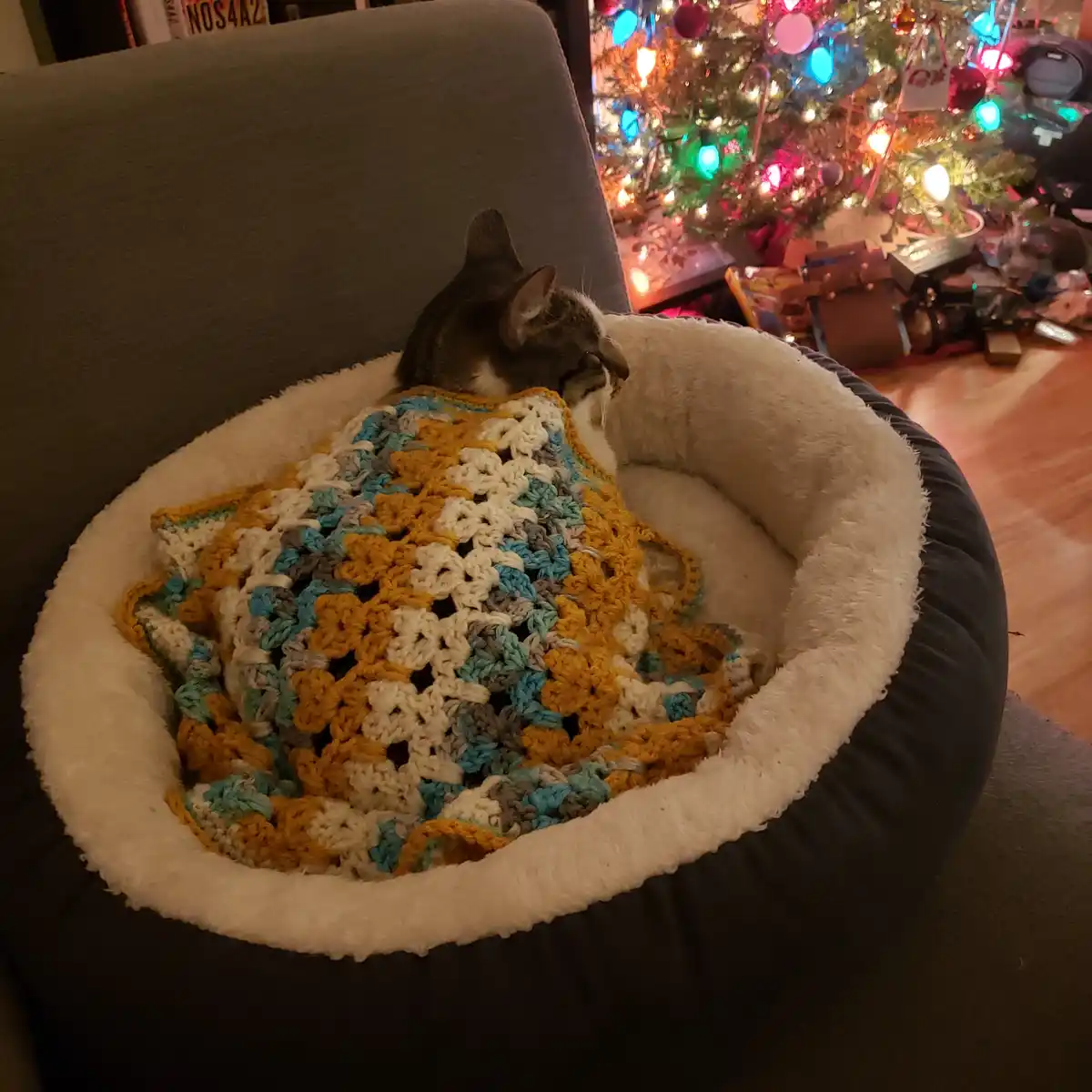 A gray and white cat is curled up and sleeping in a plush, round pet bed, partially covered by a colorful crocheted blanket…