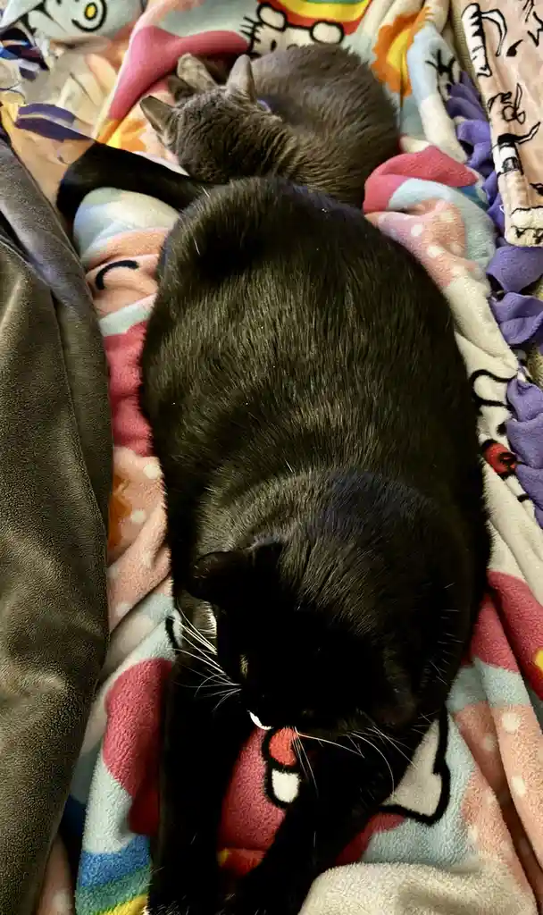 New Year's plans are off, and now I'm stuck here