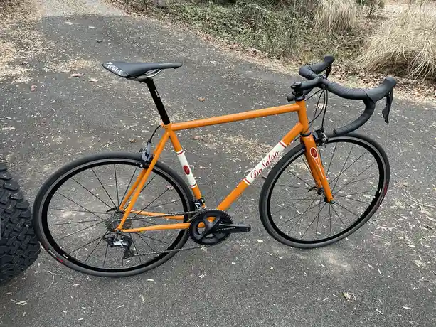 A bright orange DeSalvo road bike with black handlebars and seat is parked on a paved path next to a large, knobby off-road…