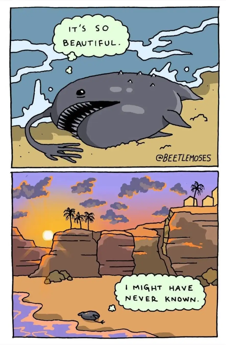 A two-panel comic shows a large, cartoonish shark-like creature with a wide, toothy grin lying on a sandy beach, thinking…