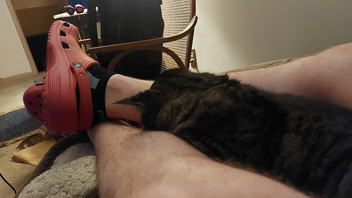 A person wearing a red Croc sandal and black sock has their leg extended, with a dark tabby cat curled up and sleeping on…