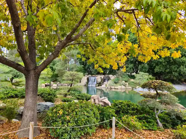 A serene Japanese garden with a waterfall, green and yellow foliage, and a rope fence in the foreground. The overlaid text…