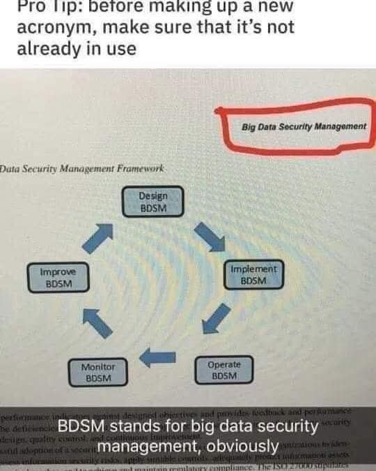 The image shows a diagram titled 'Data Security Management Framework' with four circular steps: Design BDSM, Implement BDSM…
