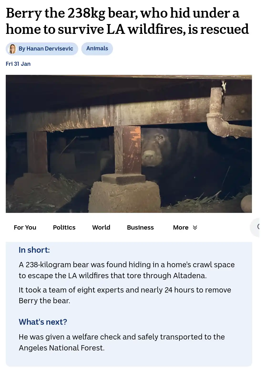 Incredible Bear Rescue Operation in Los Angeles