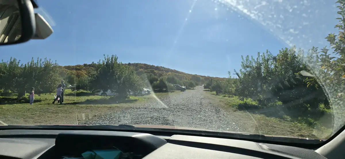 My Apple Picking Adventure from Yesterday
