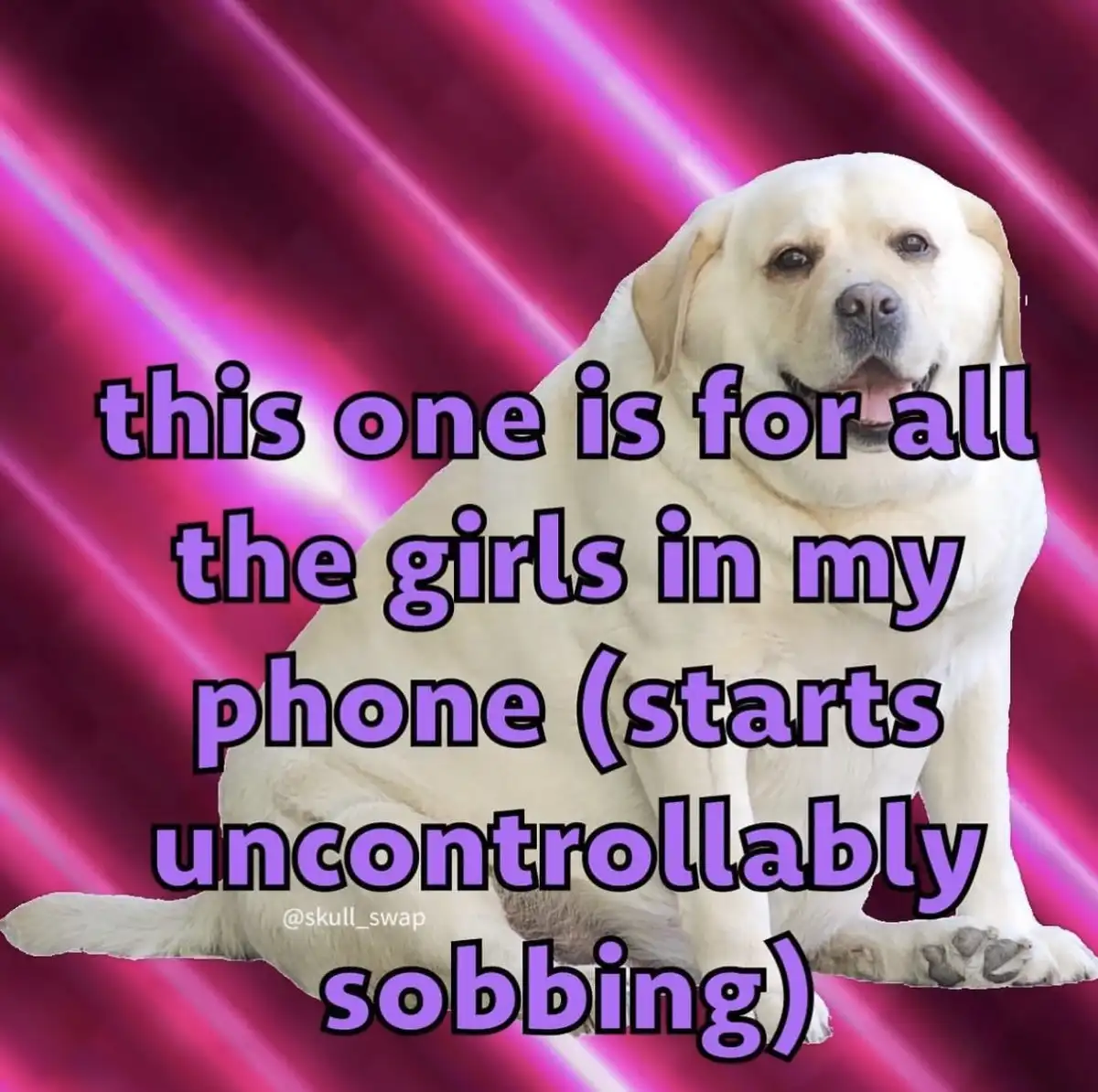 A light-colored Labrador Retriever sits calmly against a vibrant pink and purple radial gradient background. Overlaid in…