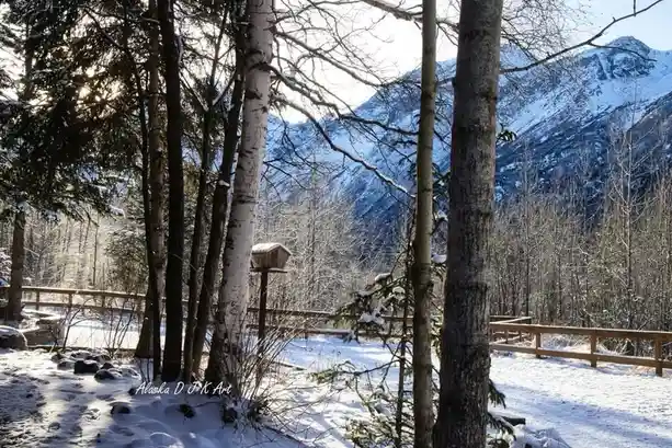 A serene winter landscape photograph showing snow-covered ground, bare trees, and distant snow-capped mountains under bright…