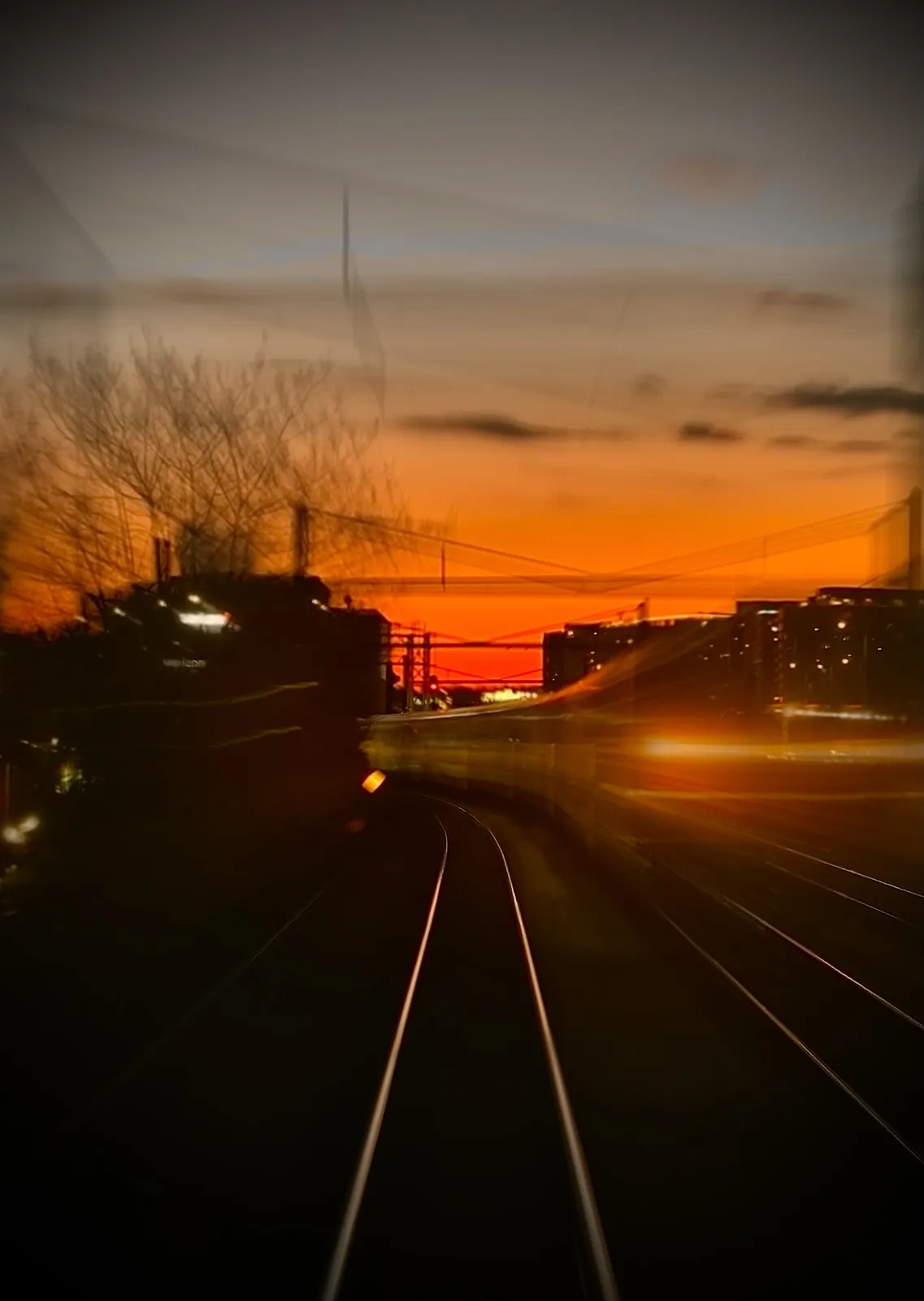 The Beauty of Train Rides: A Scenic Adventure