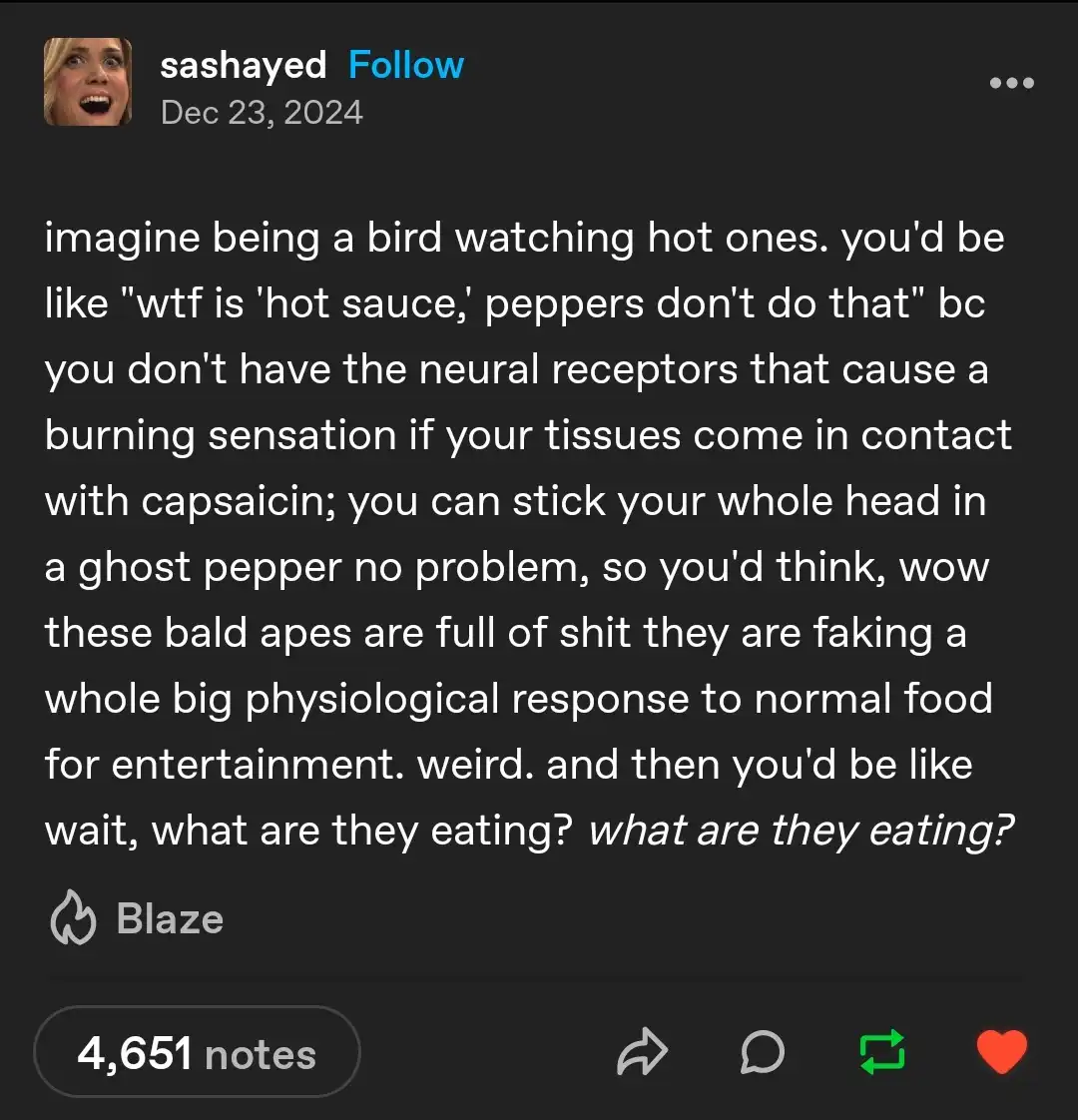 A screenshot of a Tumblr post by user 'sashayed' dated Dec 23, 2024, featuring a long text overlay that humorously imagines…