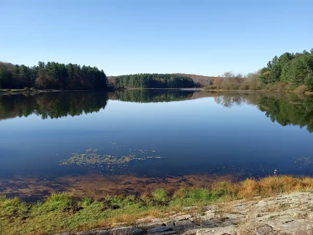 A serene landscape photo of a calm lake reflecting a forested shoreline under a clear blue sky, with rocks and grass in the…