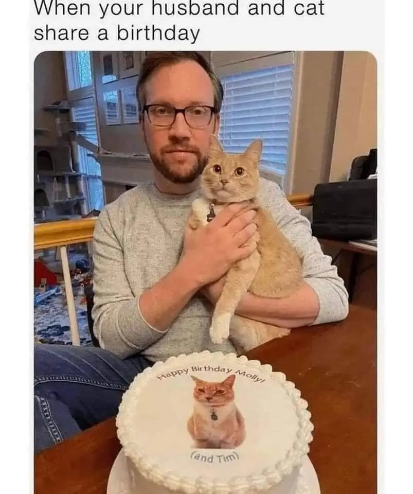 A man with glasses and a beard holds a light orange tabby cat while sitting at a table with a birthday cake. The cake has a…
