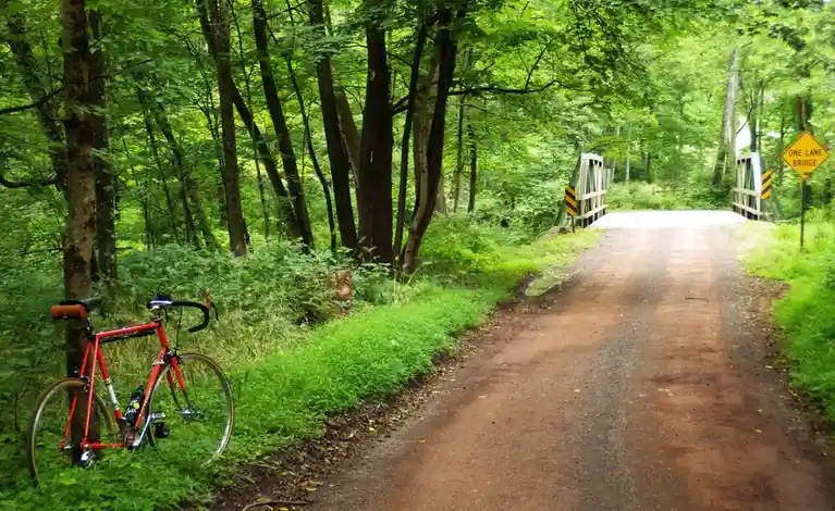 A red bicycle leans against a tree on a dirt path in a lush green forest, with a wooden one-lane bridge visible ahead and a…