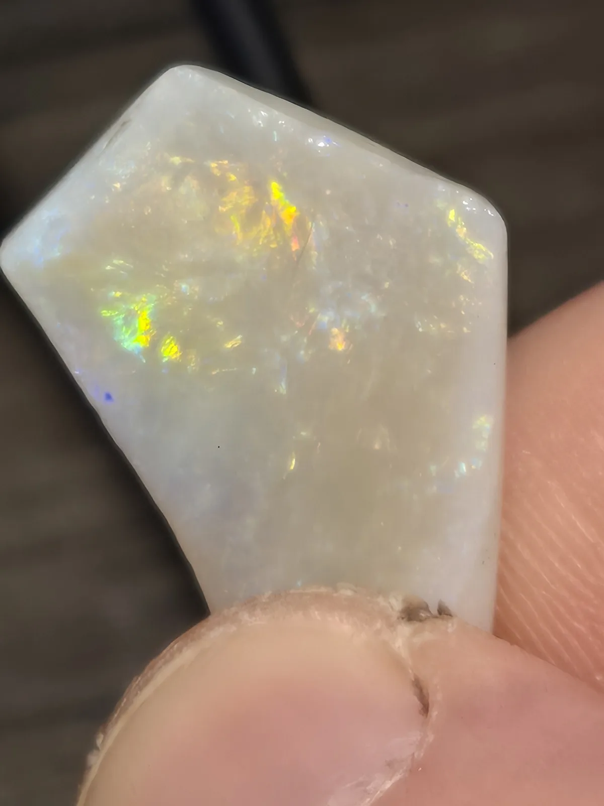 A close-up photo shows a person holding a rough, milky-white opal stone that displays vibrant flashes of yellow, green, and…