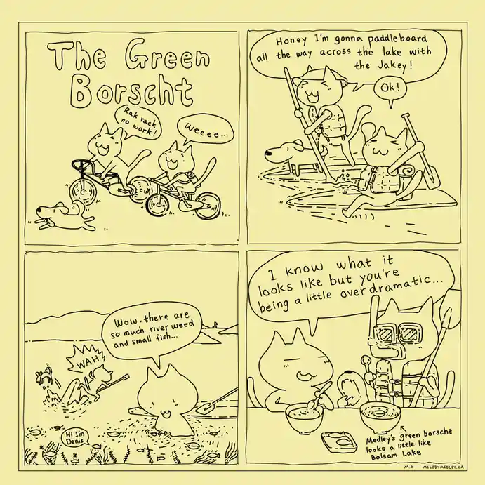 A four-panel comic strip titled 'The Green Borscht' shows cartoon cats and a dog having a fun day. In the first panel, two…