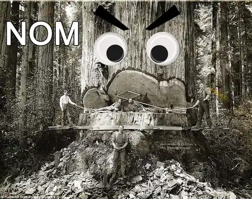 A sepia-toned historical photo shows lumberjacks cutting down a giant redwood tree, with the massive stump and sawdust…