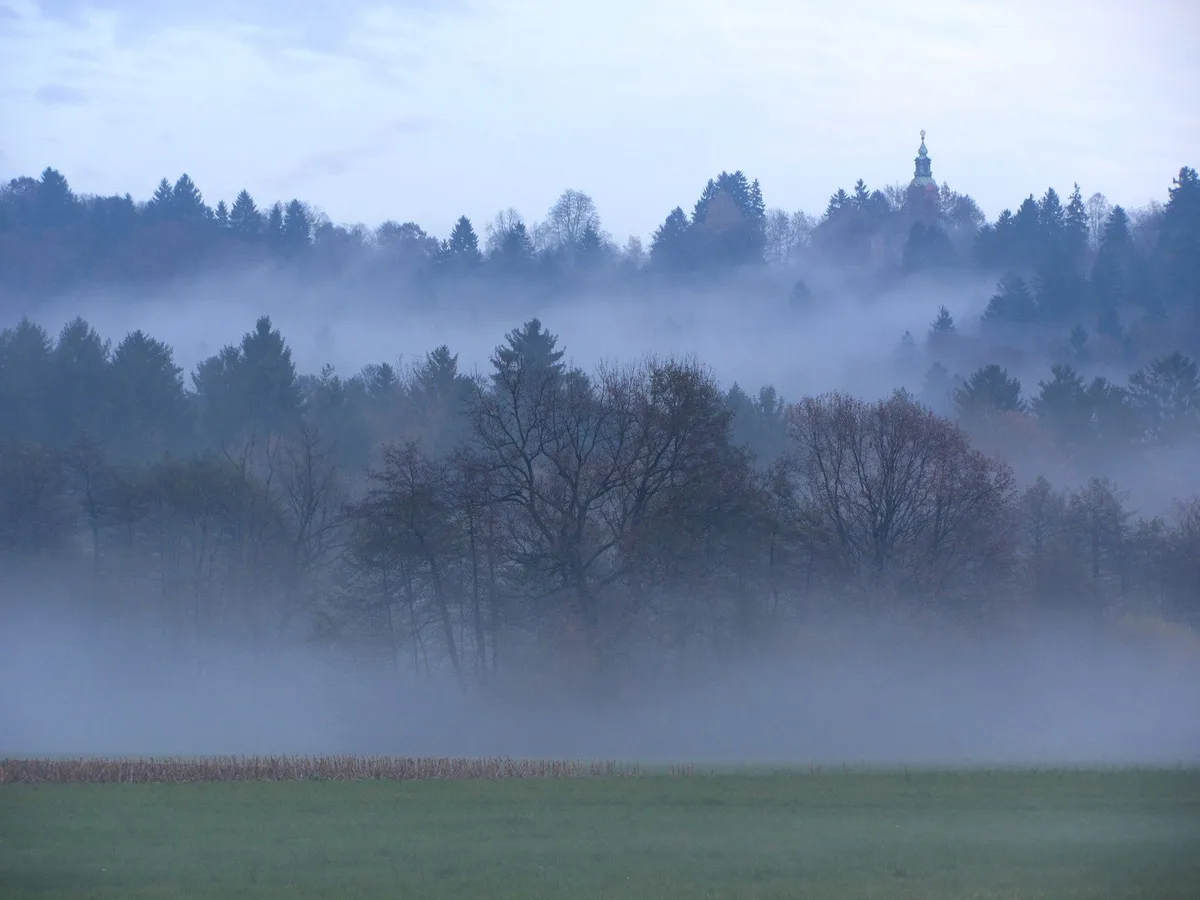 A misty, atmospheric landscape photo showing a green field in the foreground, trees partially obscured by dense fog in the…