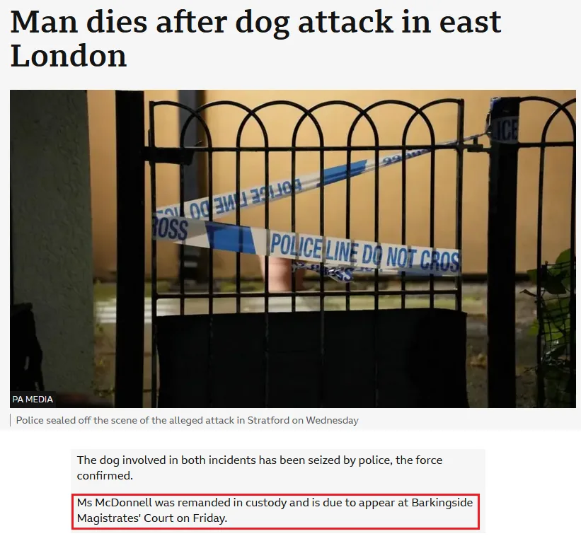 A screenshot of a news article about a fatal dog attack in east London, showing a black metal gate with blue and white…