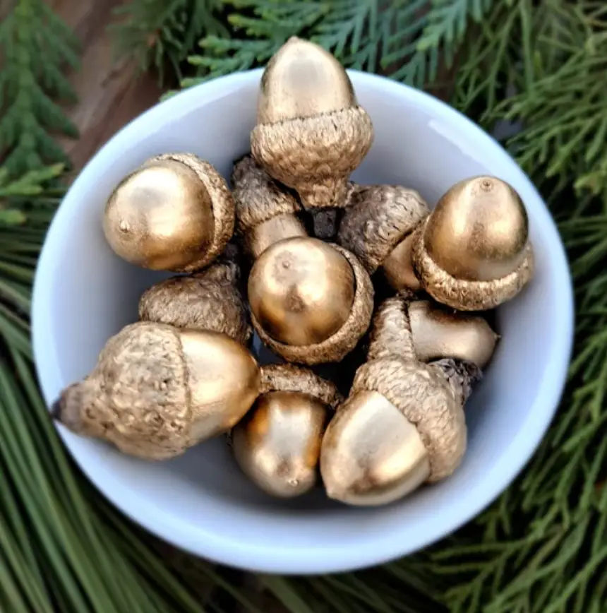 A white bowl filled with acorns that have been painted gold, resting on a bed of green pine needles. The overlaid text reads…