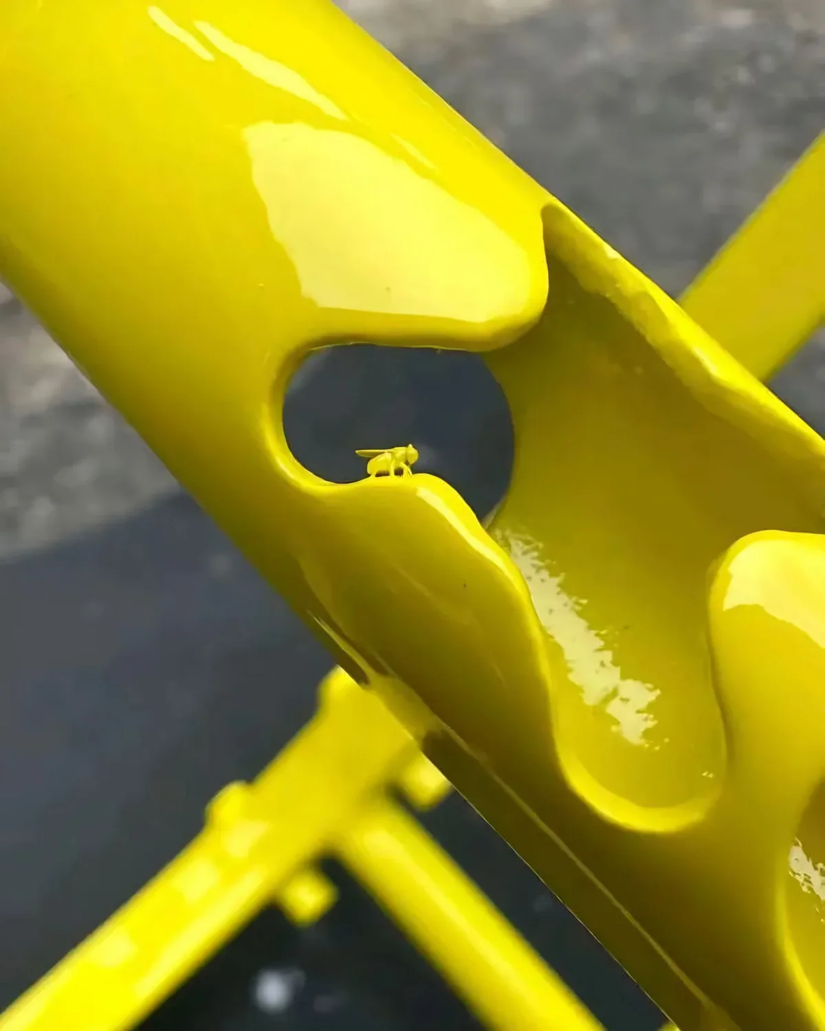 A close-up photo shows a small fly perched on the edge of a bright yellow, glossy metal structure, possibly playground…