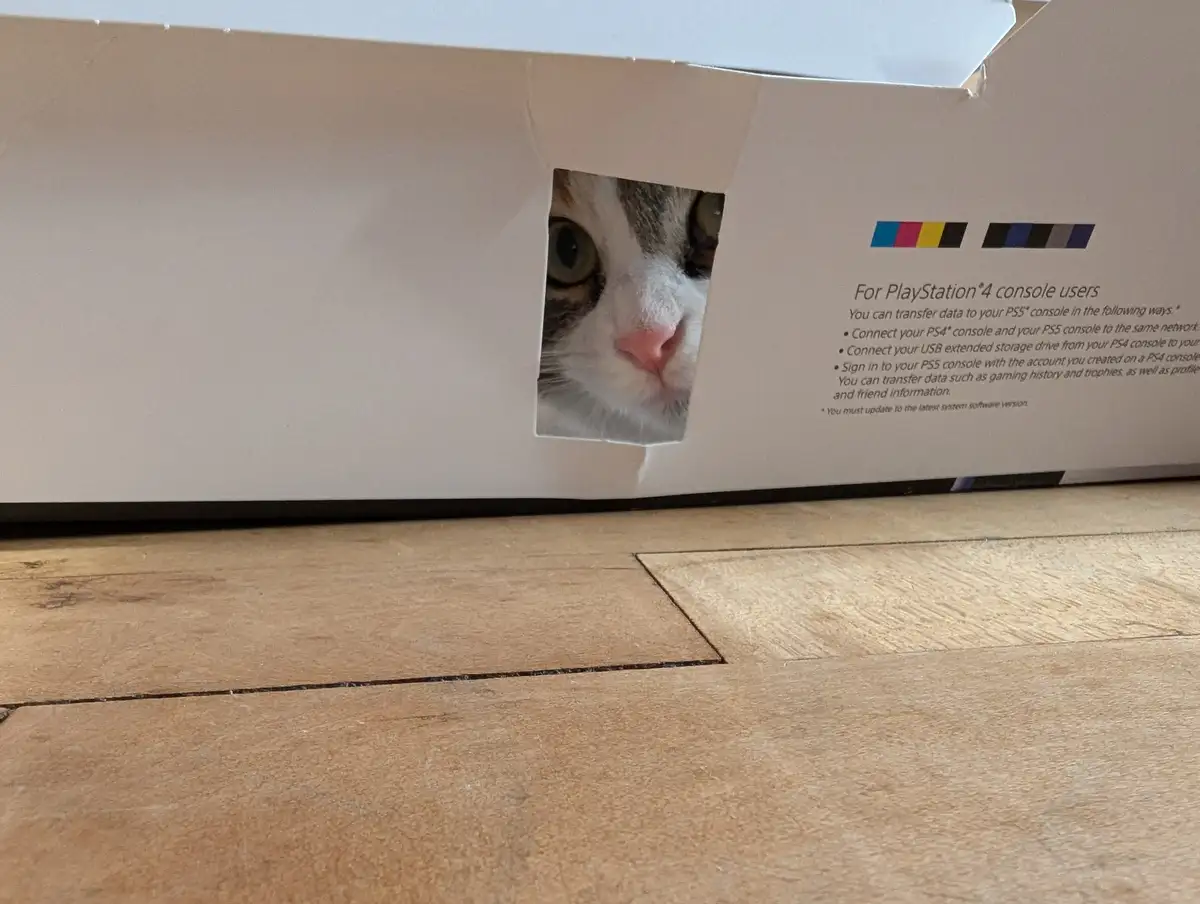 A close-up shot shows a cat's face peering through a small, roughly torn hole in the side of a white PlayStation 5 box. The…