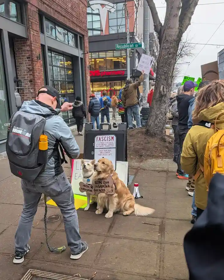 Two dogs sit on a sidewalk during a protest, one wearing a sign that reads 'ELON CAN CHECK OUR GORGE NUTS'. A man in a grey…
