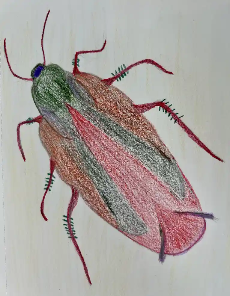 A colorful crayon drawing of a cockroach with a green head, red legs, and a body striped in red and gray, with green…