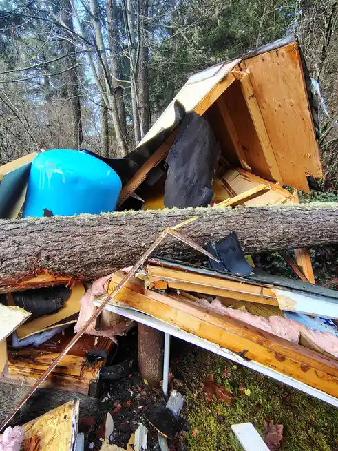 A small wooden structure, likely a shed or cabin, is completely destroyed and flattened by a massive fallen tree trunk…