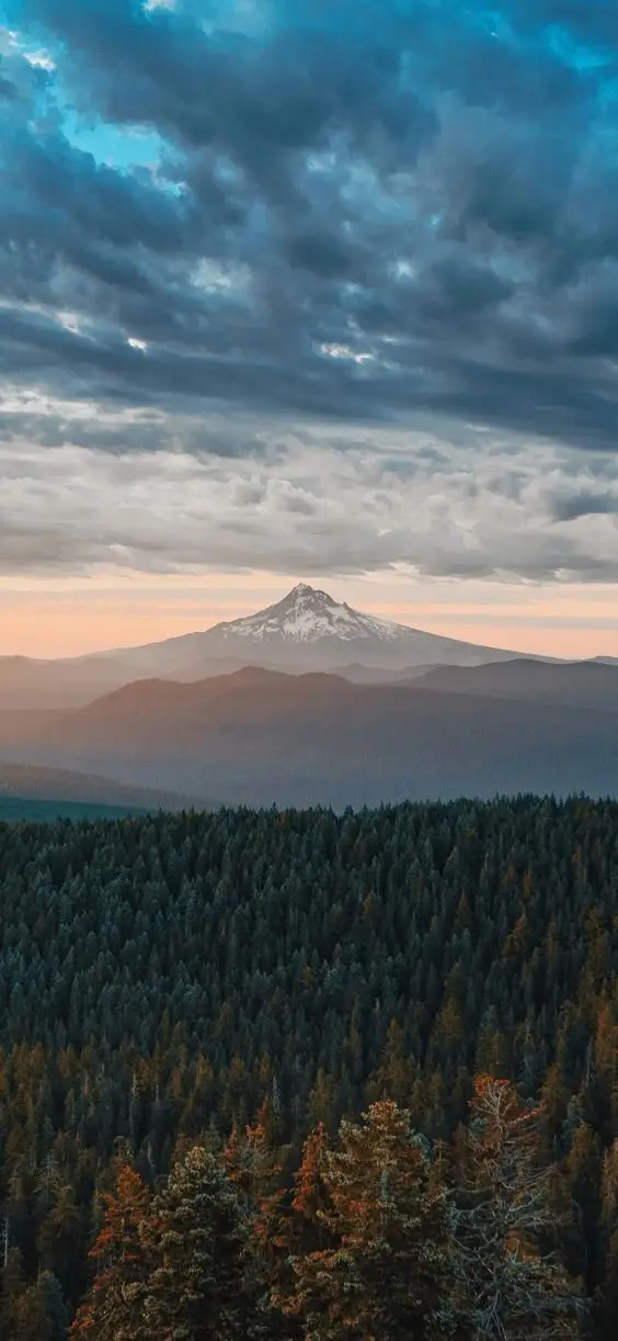A scenic landscape photo shows a snow-capped mountain under a dramatic cloudy sky, with a dense forest of evergreen trees in…