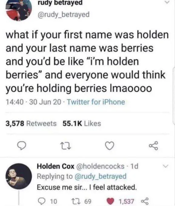 A screenshot of a Twitter thread shows user @rudy_betrayed joking that if someone named Holden Berries said their name…