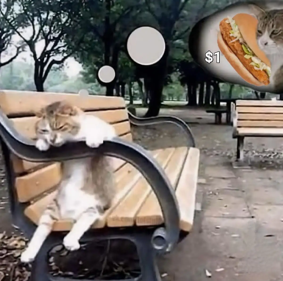 A fluffy tabby cat lounges on a park bench with a tired, unimpressed expression. In the upper right corner, a thought bubble…