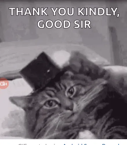 A black-and-white image shows a tabby cat wearing a small top hat while lying on a bed. The cat looks directly at the camera…