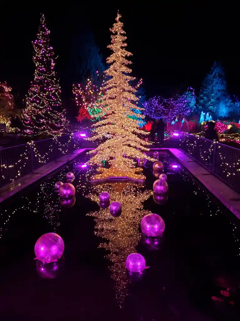 A nighttime photo of a large, brightly lit Christmas tree standing in the center of a shallow pool, surrounded by floating…