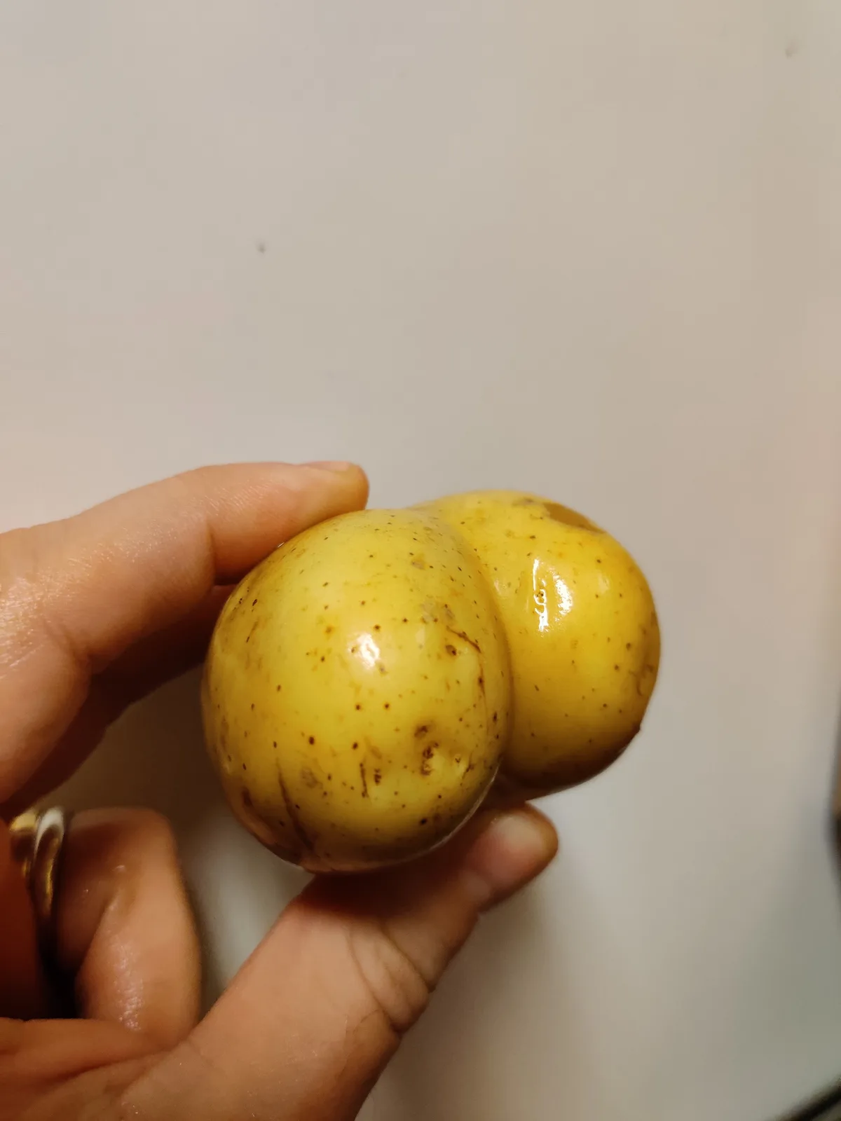 A hand holds a yellow potato with two distinct, rounded lobes fused together, resembling a human figure. The overlaid text…