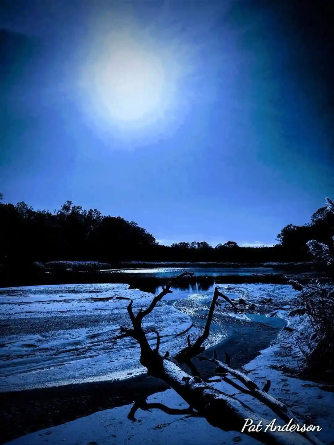 A serene, monochromatic blue photograph of a riverbank at dusk or dawn, featuring a prominent fallen tree trunk in the…