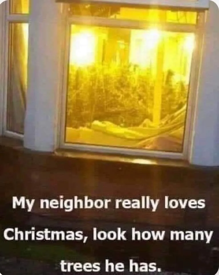 A nighttime photo shows a window with bright yellow indoor lighting, through which numerous artificial Christmas trees are…