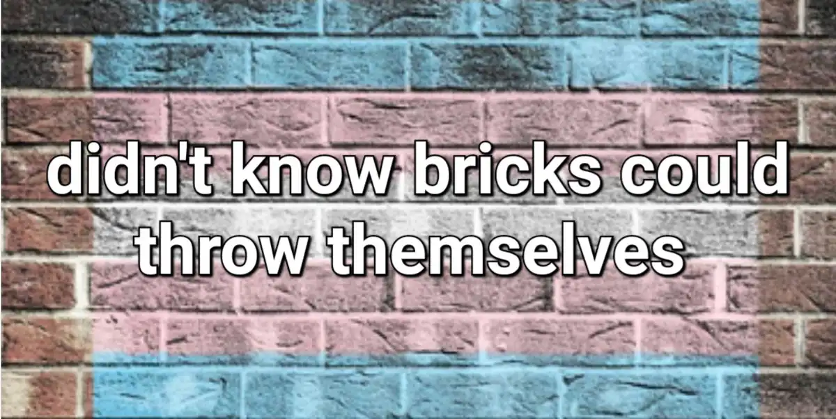 A brick wall painted with the trans flag colors (light blue, pink, and white stripes) has white text overlaid that reads…