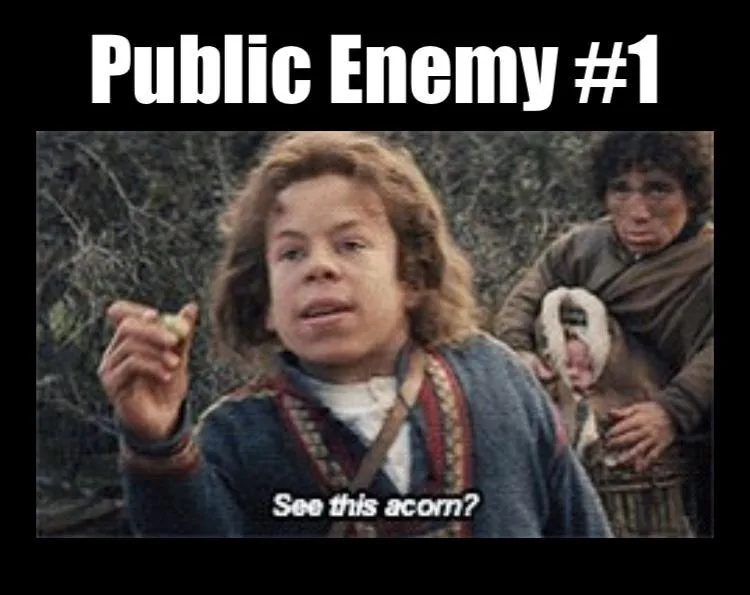 A still from 'The Lord of the Rings' shows a young hobbit holding up an acorn and asking 'See this acorn?' while another…