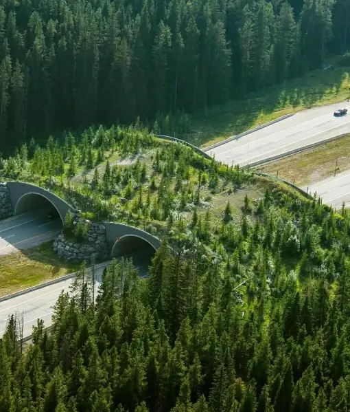 An aerial view of a highway with two tunnels carved through a forested hill, with a car visible on the road. Overlaid text…