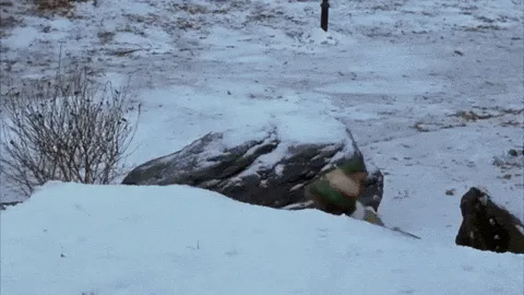 A sequence of six panels shows a person in a green elf costume and hat emerging from a snowy bank, holding a snowball. The…