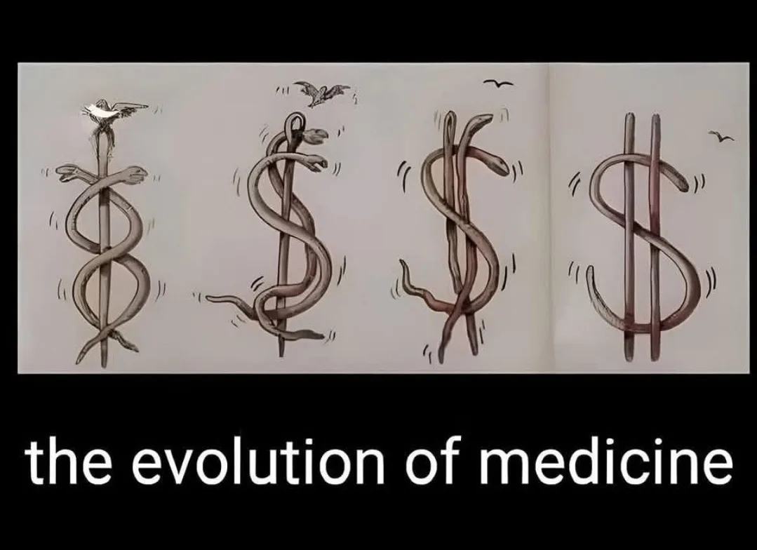 A four-panel illustration shows a snake coiled around a staff, progressively transforming into a dollar sign, with a bird…