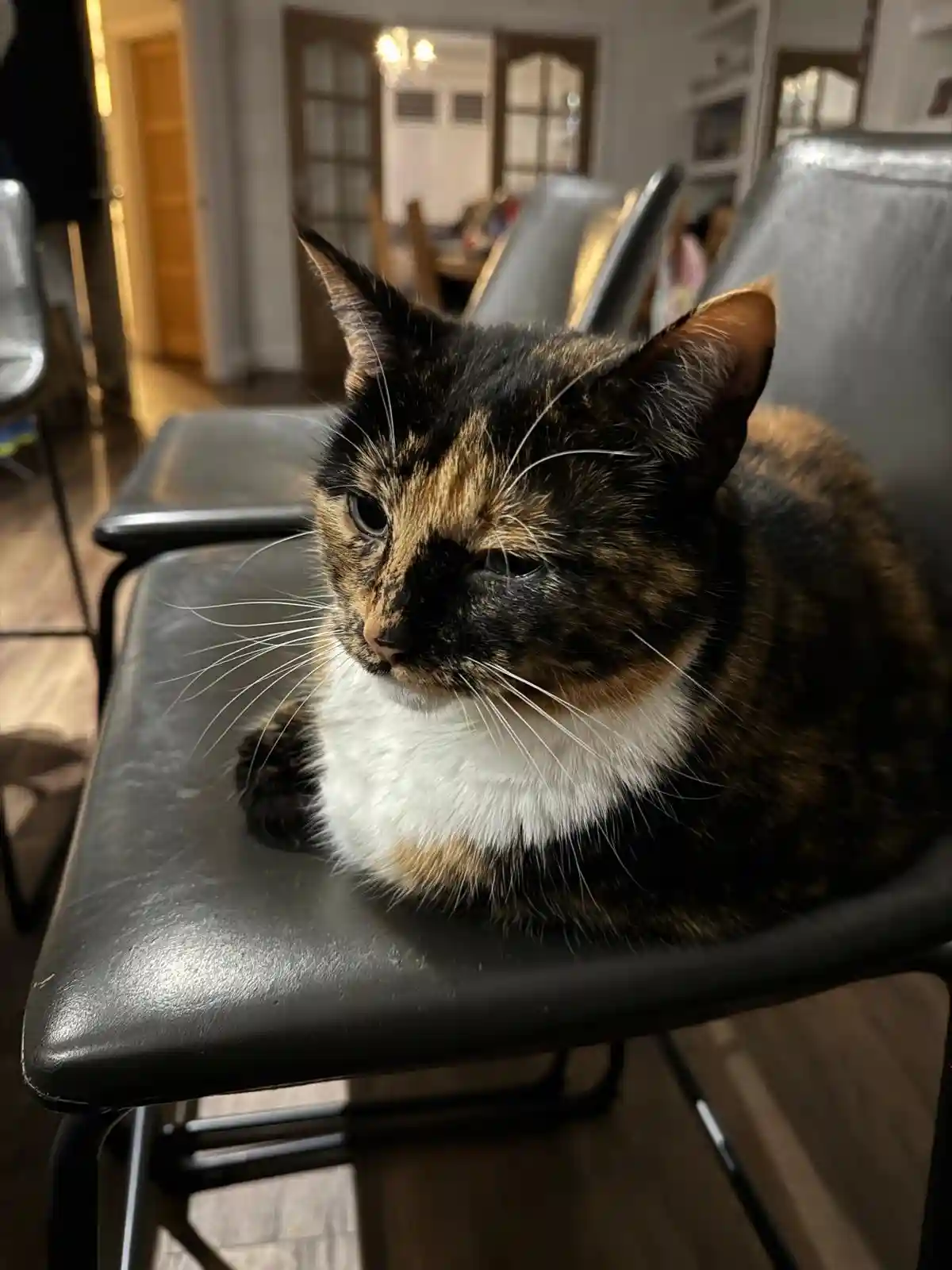 Crumble’s Daily Snapshot