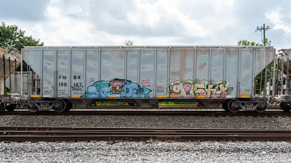 Daily Train Chronicles: Capturing Day 182