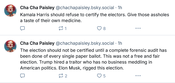 I Truly Believe There Was Voter Fraud in Trump's Camp
